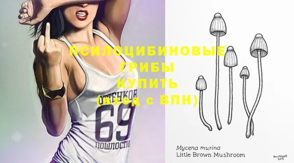 экстази Ладушкин