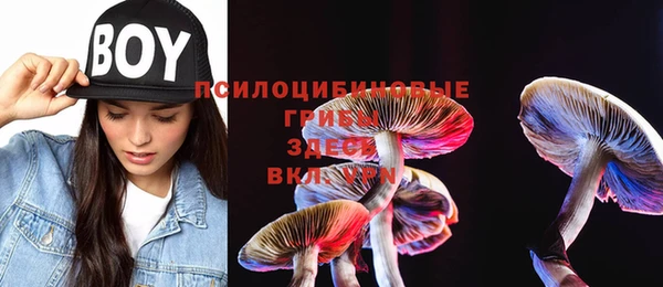 не бодяженный Лабытнанги