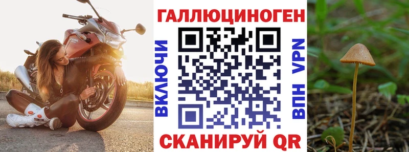 Псилоцибиновые грибы Psilocybe  Купить  Ликино-Дулёво 
